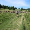 mariazell11